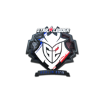 Наклейка | G2 Esports (металлическая)